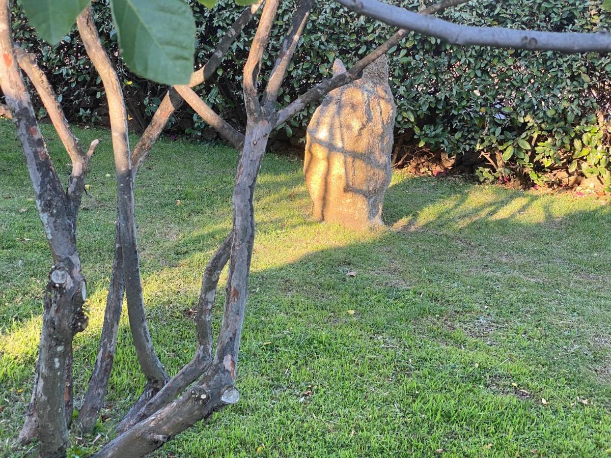 Bed And Breakfast Li Paduli Alvi Cannigione Εξωτερικό φωτογραφία