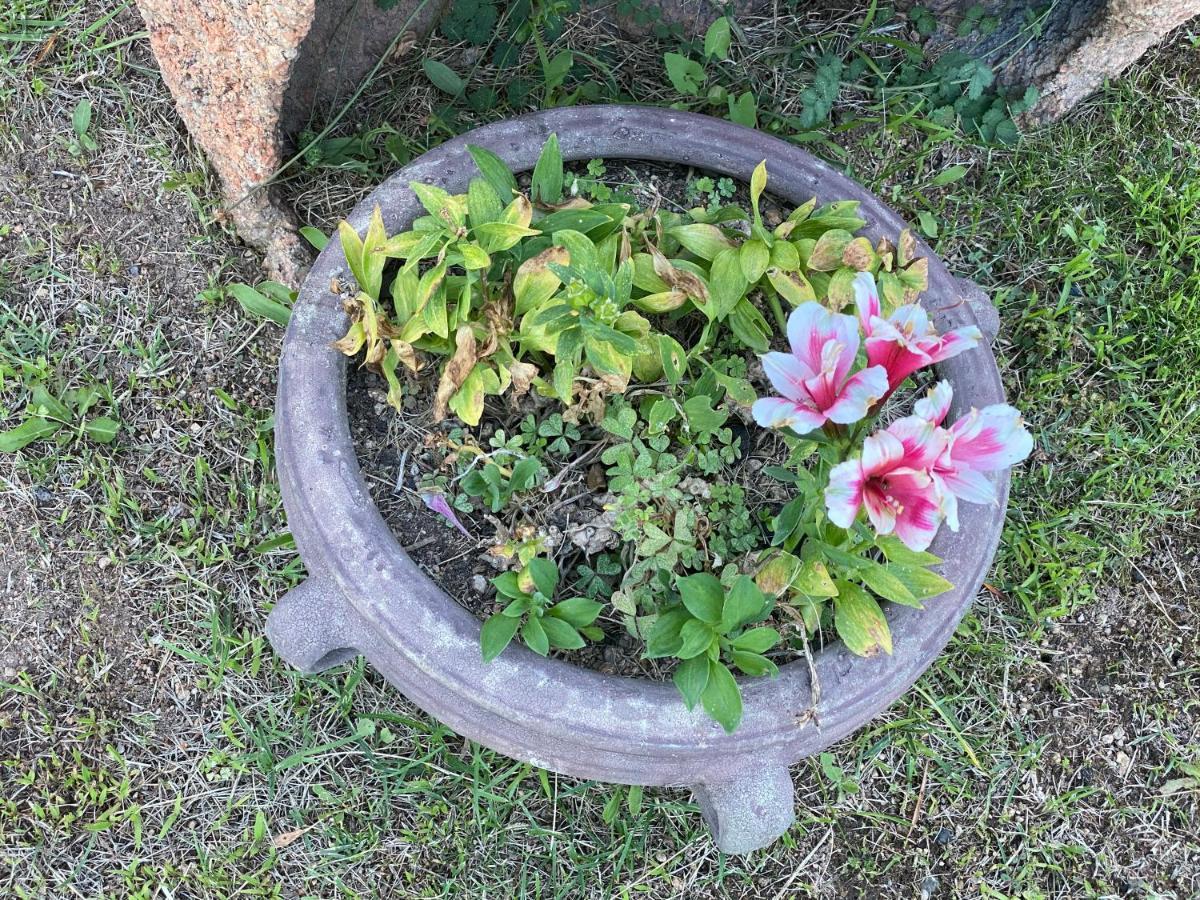 Bed And Breakfast Li Paduli Alvi Cannigione Εξωτερικό φωτογραφία