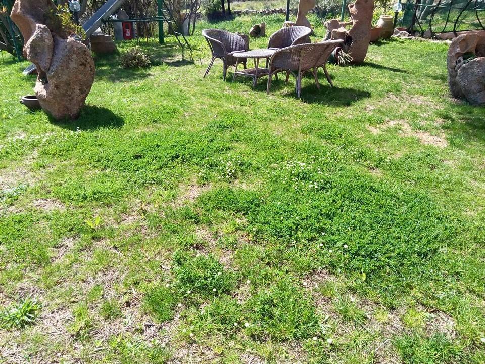 Bed And Breakfast Li Paduli Alvi Cannigione Δωμάτιο φωτογραφία