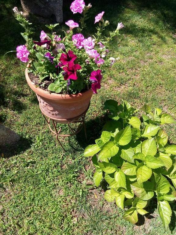 Bed And Breakfast Li Paduli Alvi Cannigione Εξωτερικό φωτογραφία