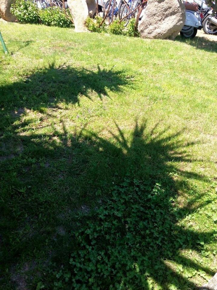 Bed And Breakfast Li Paduli Alvi Cannigione Εξωτερικό φωτογραφία